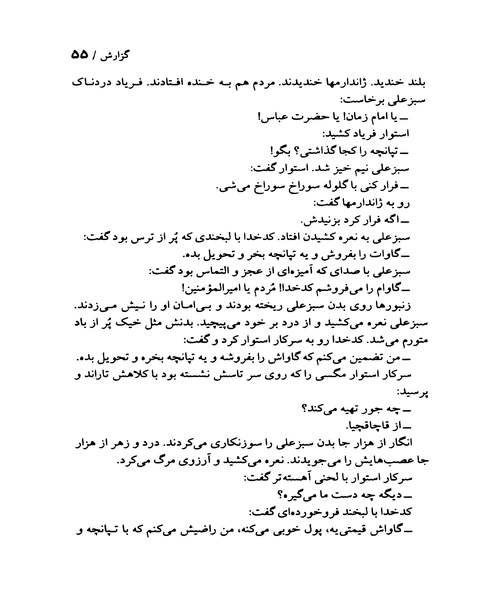 توشای پرنده غریب زاگرس - نمونه سوم - جزیره کتاب های الکترونیکی
